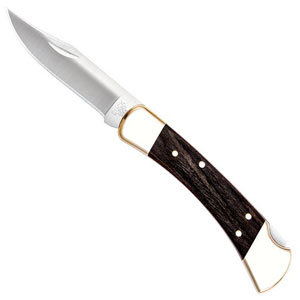 چاقو شکاری باک 110 Folding Hunter