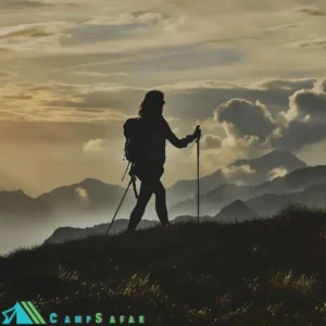 عصای کوهنوردی FIZAN فیزان مدل ADVENTURE CORK - ایتالیایی کلیپس فلزی