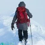 فلاسک ترموس THERMOS مدل LIGHT & COMPACT 750ml